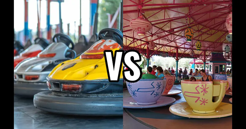 Bumper Cars vs. Tea Cups