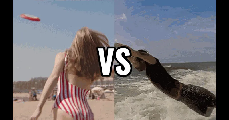 Frisbee vs. Jump Waves