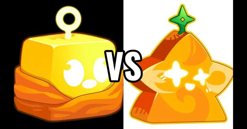 💡 Light Fruit vs. 🛕 Buddha Fruit