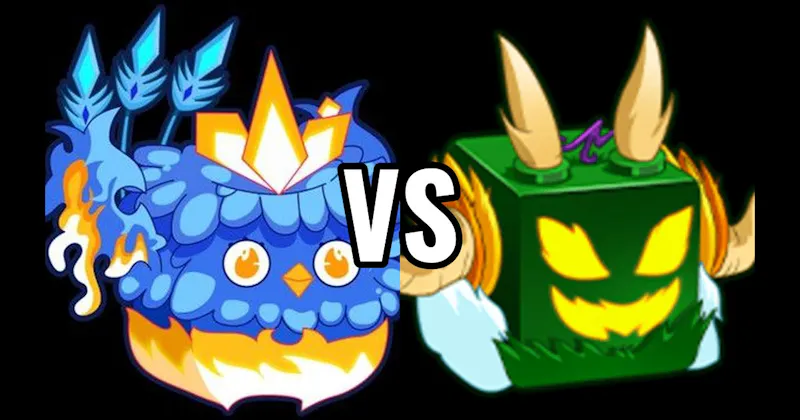 🐉 Dragon Fruit vs. 🔥 Phoenix Fruit