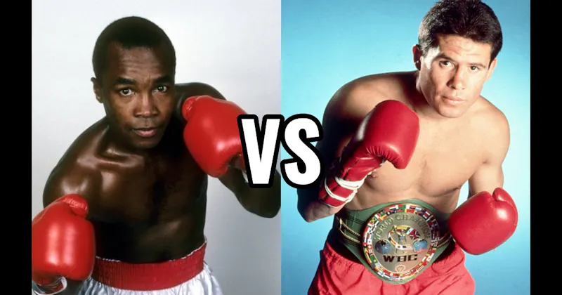 Julio César Chávez vs. Sugar Ray Leonard