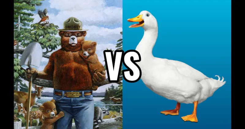 Aflac Duck vs. Smokey Bear