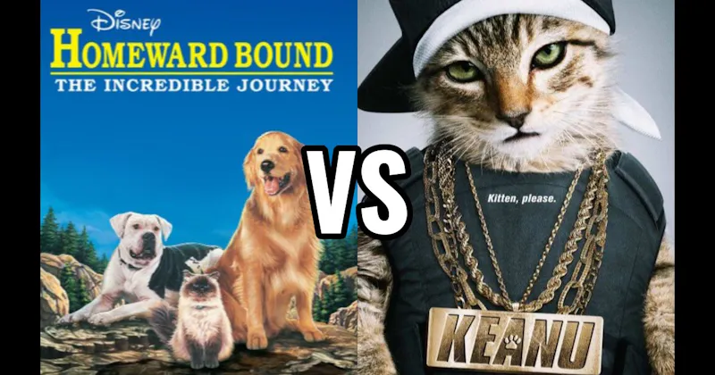 Homeward Bound: The Incredible Journey vs. Keanu