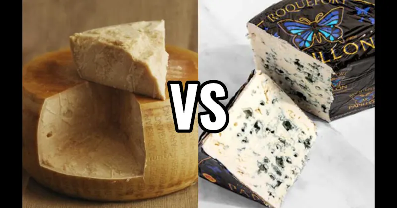 Blue Cheese vs. Parmigiano Reggiano Cheese