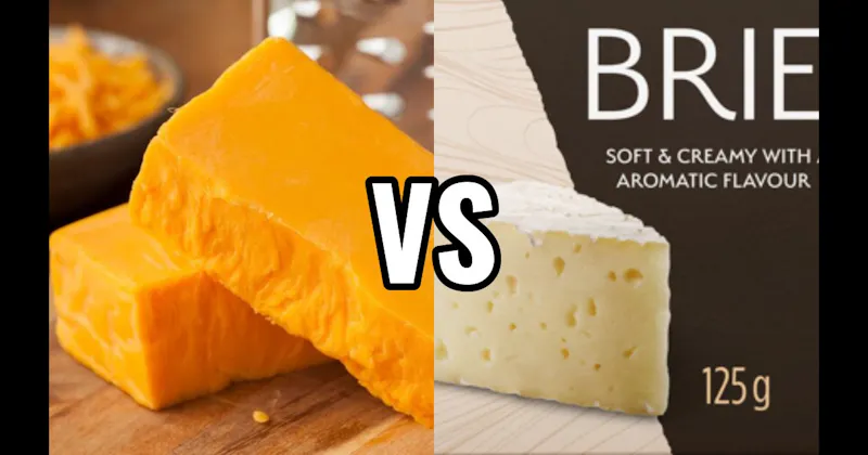 Brie vs. Cheddar Cheese