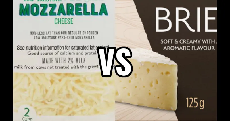 Brie vs. Mozzarella Cheese