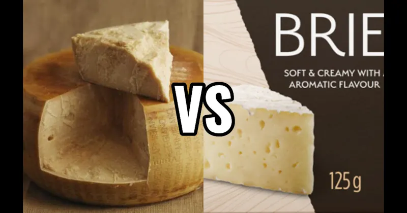 Brie vs. Parmigiano Reggiano Cheese