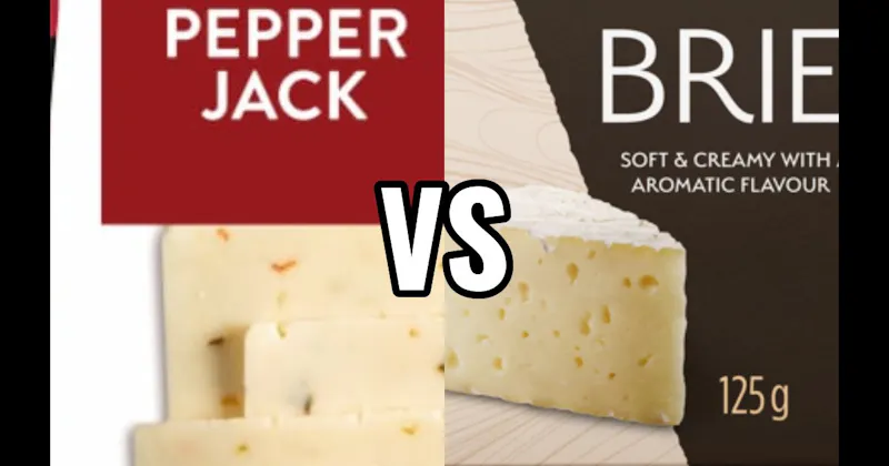 Brie vs. Pepper Jack Cheese