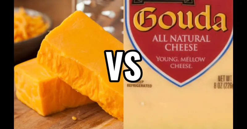Cheddar Cheese vs. Gouda Cheese