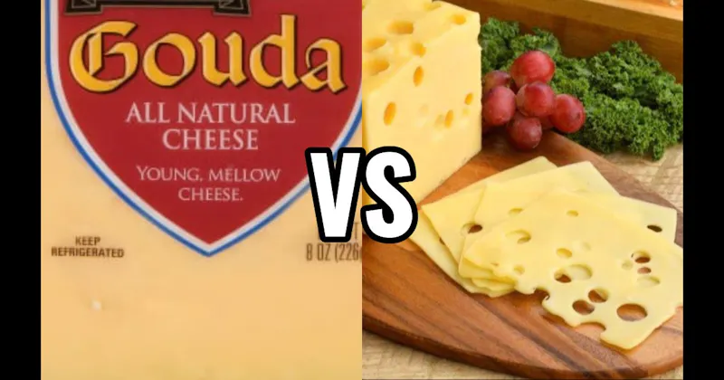 Gouda Cheese vs. Swiss Cheese