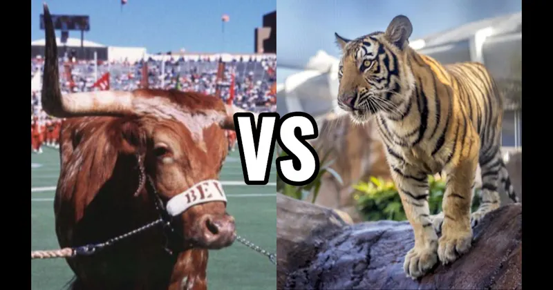 Bevo (Texas Longhorns) vs. Mike the Tiger (LSU Tigers)
