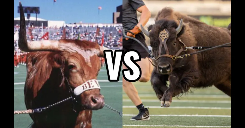 Bevo (Texas Longhorns) vs. Ralphie (Colorado Buffaloes)