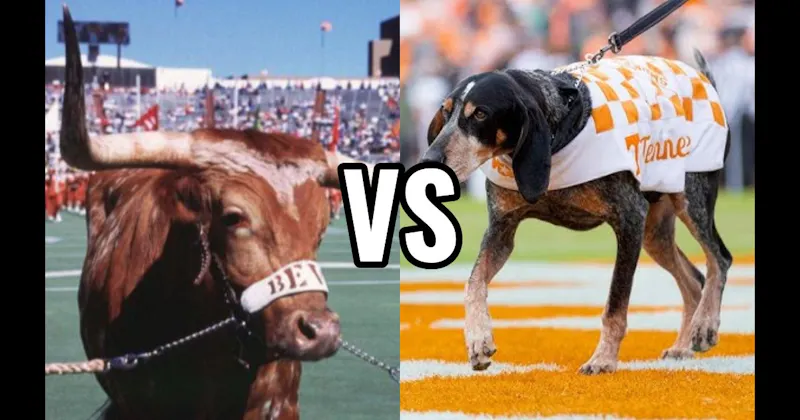 Bevo (Texas Longhorns) vs. Smokey (Tennessee Volunteers)