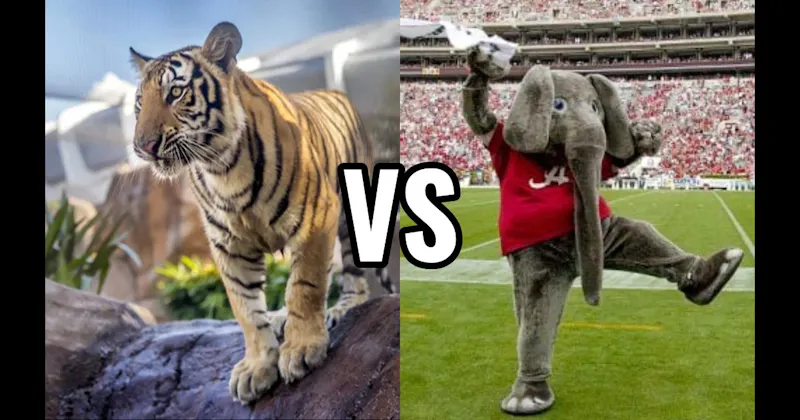 Big Al (Alabama Crimson Tide) vs. Mike the Tiger (LSU Tigers)