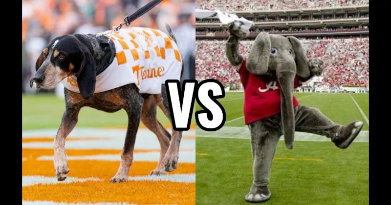 Big Al (Alabama Crimson Tide) vs. Smokey (Tennessee Volunteers)