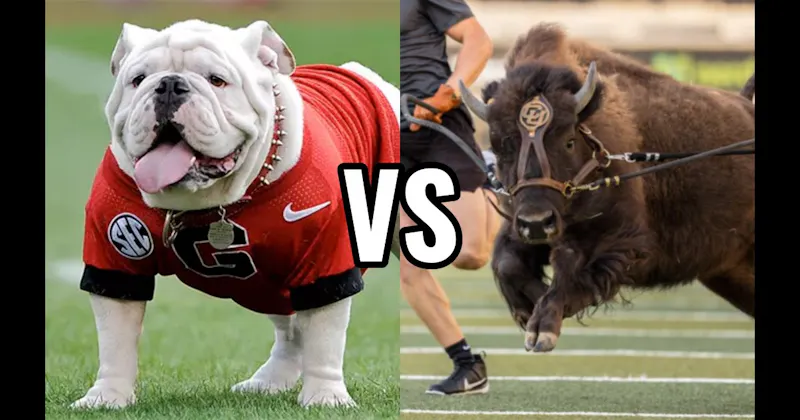 Ralphie (Colorado Buffaloes) vs. Uga (Georgia Bulldogs)