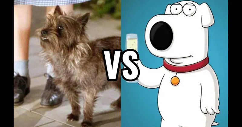 Brian Griffin (Family Guy) vs. Toto (The Wizard of Oz)
