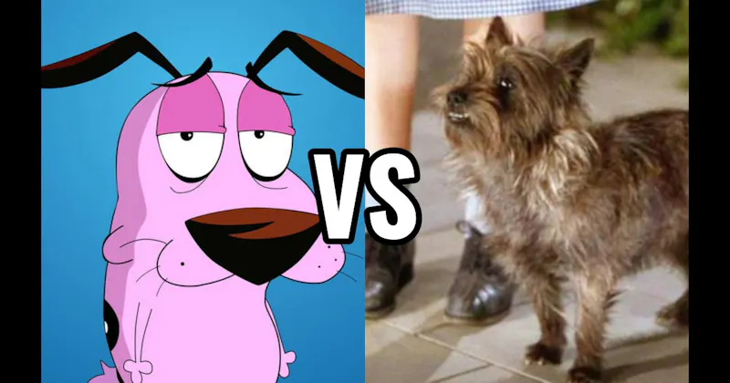 Courage the Cowardly Dog vs. Toto (The Wizard of Oz)