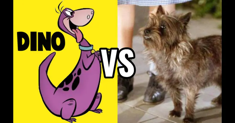 Dino (The Flintstones) vs. Toto (The Wizard of Oz)