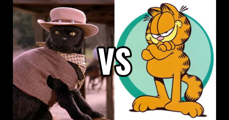 Garfield (Garfield) vs. Salem Saberhagen (Sabrina the Teenage Witch)