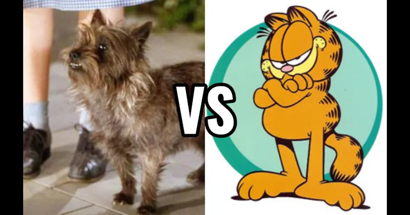Garfield (Garfield) vs. Toto (The Wizard of Oz)