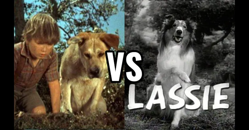 Lassie (Lassie) vs. Old Yeller (Old Yeller)