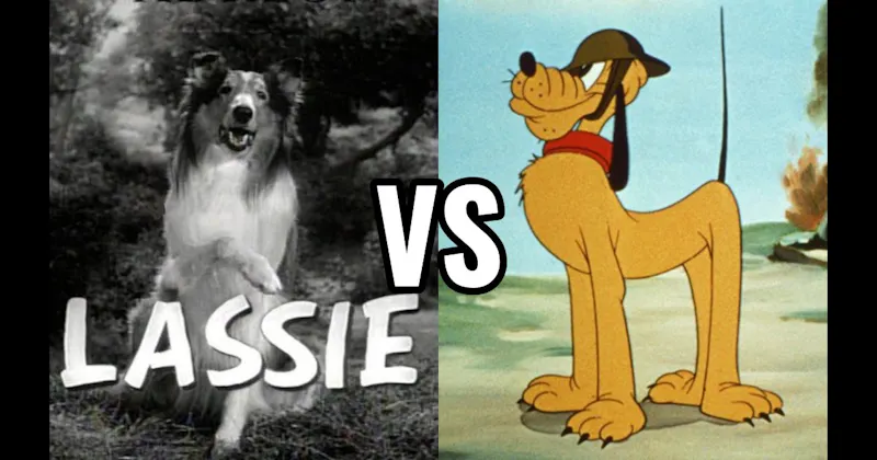 Lassie (Lassie) vs. Pluto (Disney)