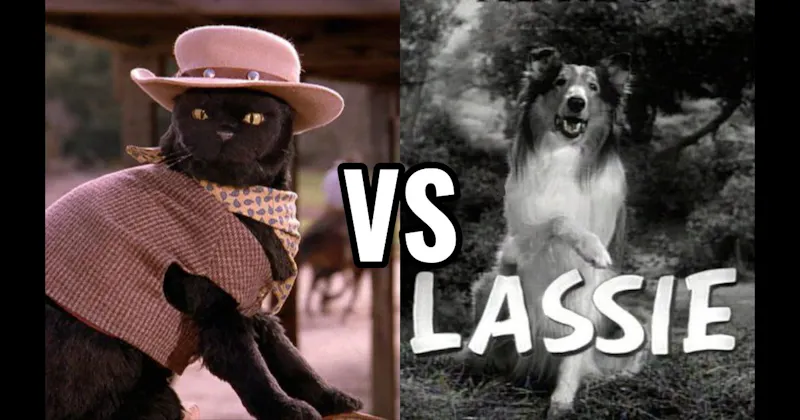 Lassie (Lassie) vs. Salem Saberhagen (Sabrina the Teenage Witch)