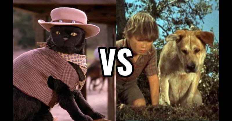 Old Yeller (Old Yeller) vs. Salem Saberhagen (Sabrina the Teenage Witch)