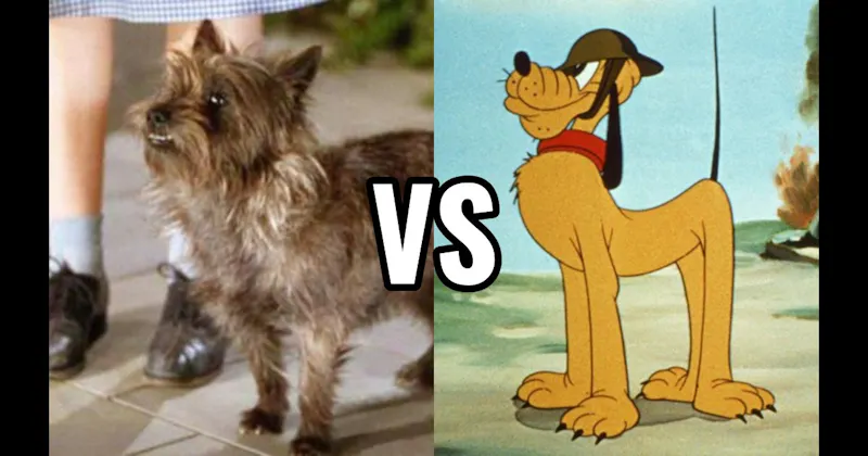 Pluto (Disney) vs. Toto (The Wizard of Oz)