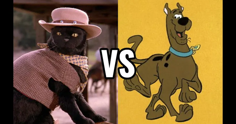 Salem Saberhagen (Sabrina the Teenage Witch) vs. Scooby-Doo (Scooby-Doo)