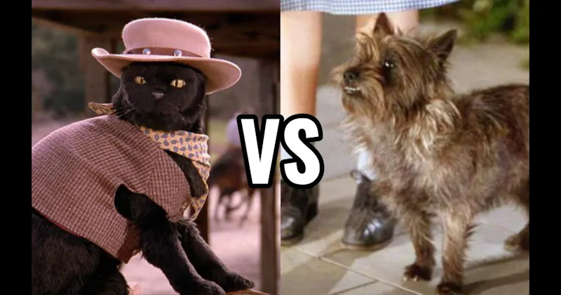 Salem Saberhagen (Sabrina the Teenage Witch) vs. Toto (The Wizard of Oz)