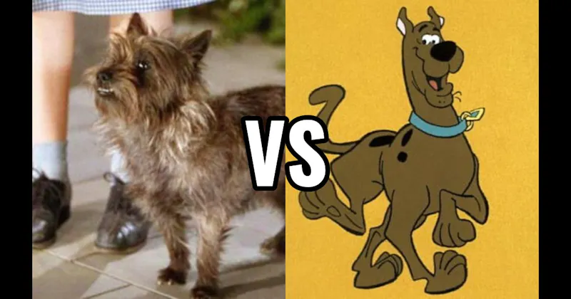Scooby-Doo (Scooby-Doo) vs. Toto (The Wizard of Oz)