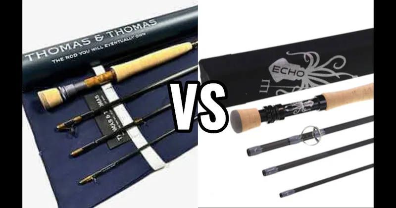 Echo vs. Thomas & Thomas