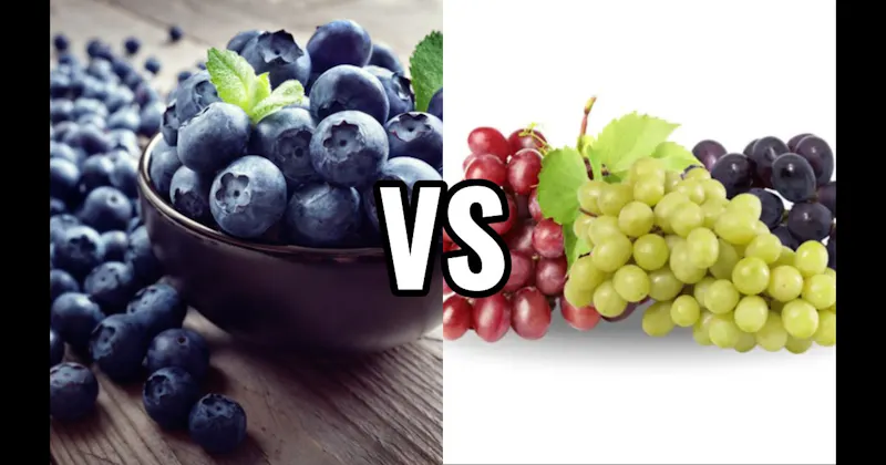 Blueberry vs. Grapes