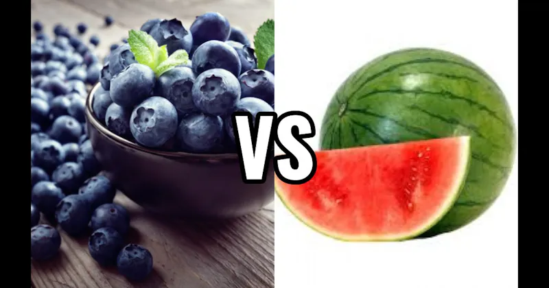 Blueberry vs. Watermelon