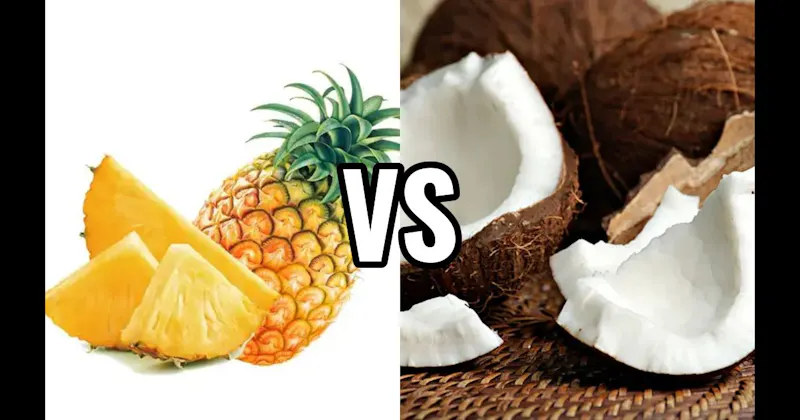 Coconut vs. Pineapple