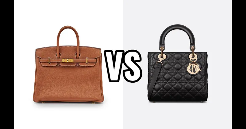 Dior Lady Dior vs. Hermès Birkin