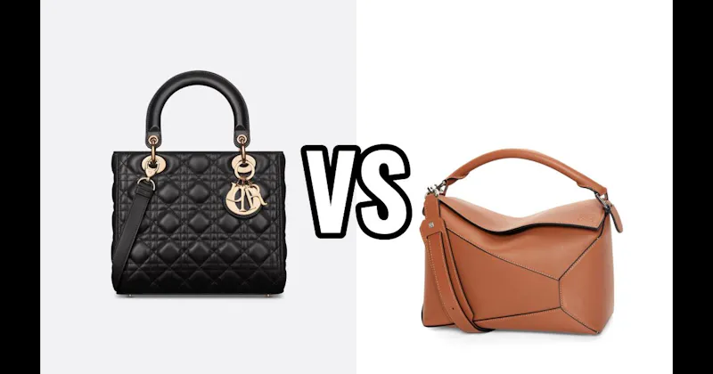 Dior Lady Dior vs. Loewe Puzzle Bag