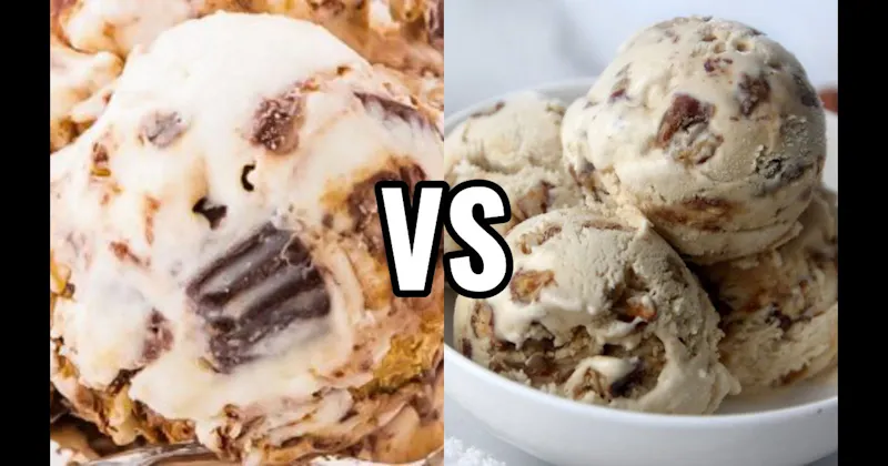 Butter Pecan Ice Cream vs. Moose Tracks Ice Cream