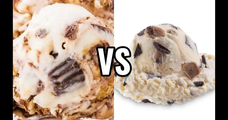 Chocolate Chip Cookie Dough Ice Cream vs. Moose Tracks Ice Cream