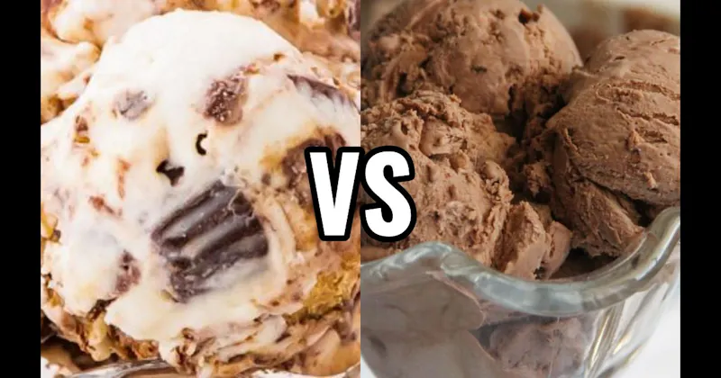 Chocolate Ice Cream vs. Moose Tracks Ice Cream
