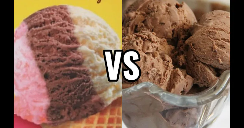 Chocolate Ice Cream vs. Neapolitan Ice Cream