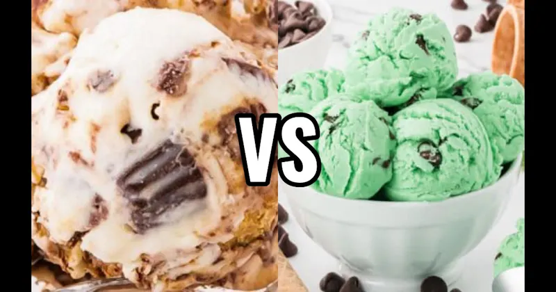 Mint Chocolate Chip Ice Cream vs. Moose Tracks Ice Cream