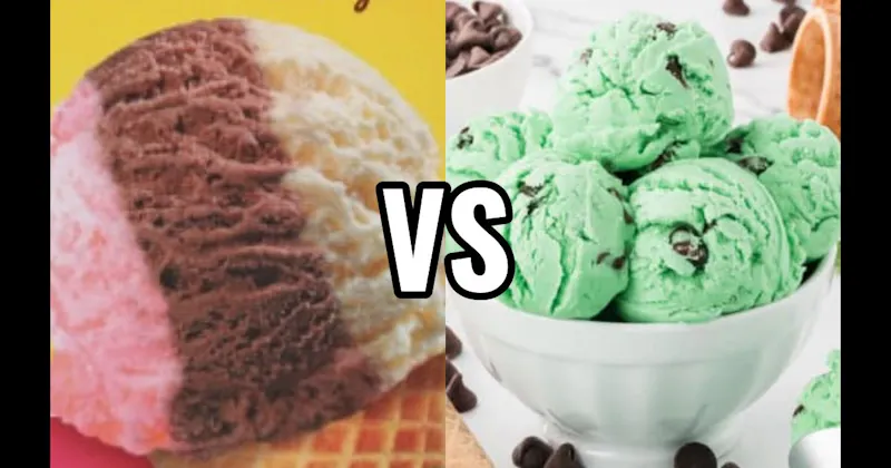 Mint Chocolate Chip Ice Cream vs. Neapolitan Ice Cream