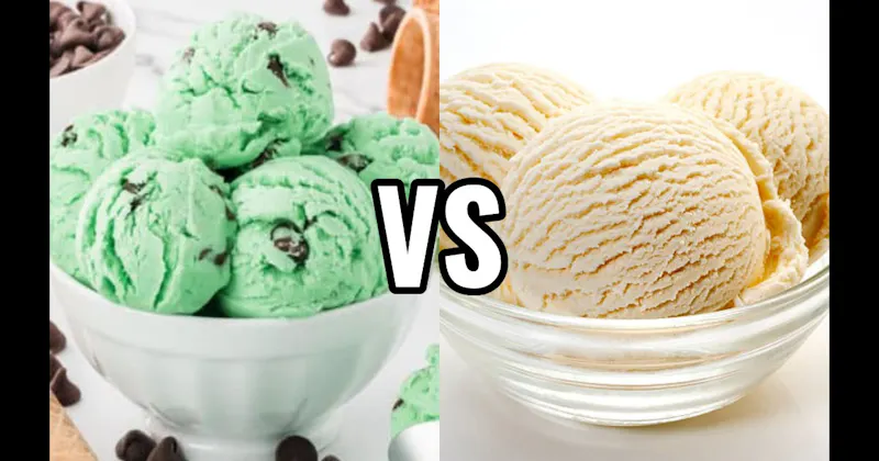 Mint Chocolate Chip Ice Cream vs. Vanilla Ice Cream