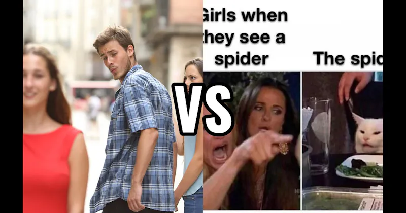 Distracted Boyfriend vs. Woman Yelling at Cat