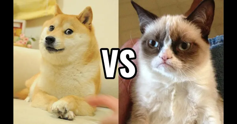 Doge vs. Grumpy Cat