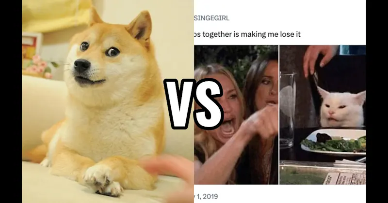 Doge vs. Woman Yelling at a Cat