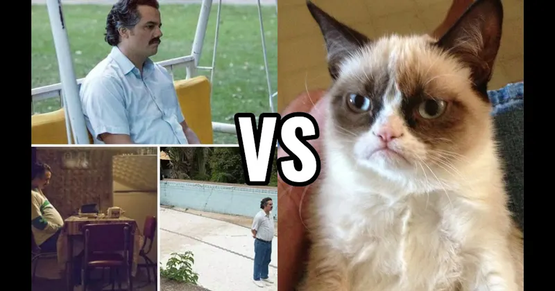 Grumpy Cat vs. Sad Pablo Escobar